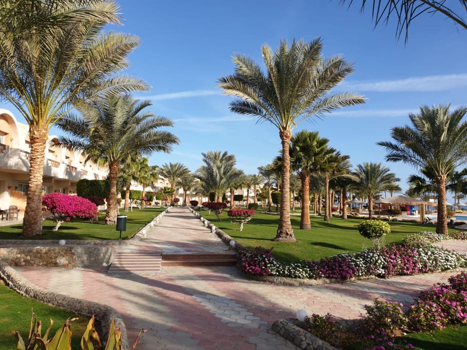 Gartenanlage Three Corners Sea Beach Resort