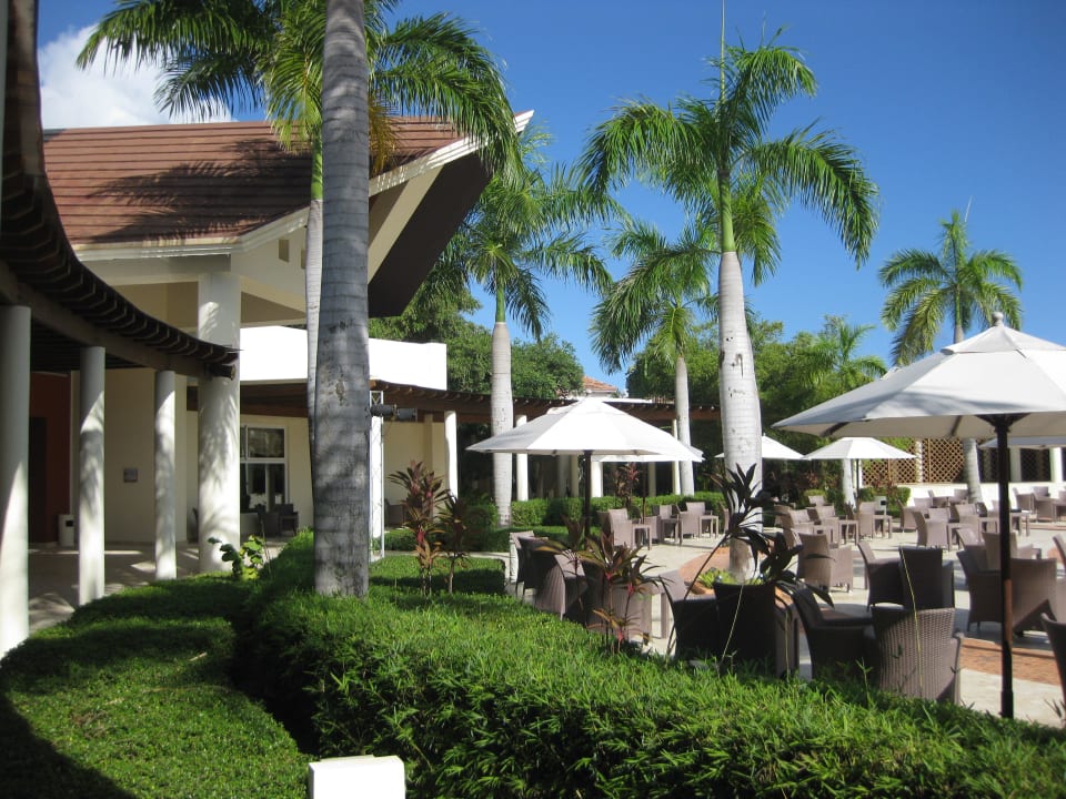  Show Plaza Secrets Royal Beach Punta Cana - Adults only