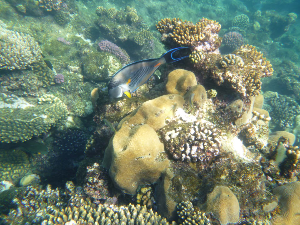 Strand Casa Mare Resort