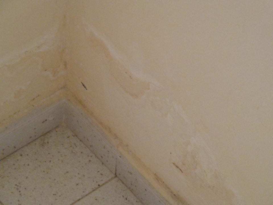 Feuchte Wand! Apartments Las Tres Palmeras