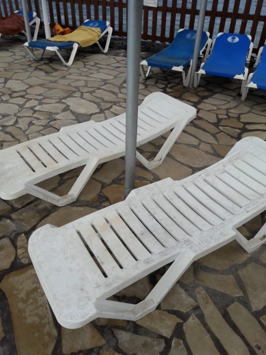 Gartenanlage Melia La Palma Hotel