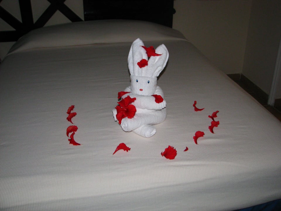 Noch ein Gruß Catalonia Playa Maroma