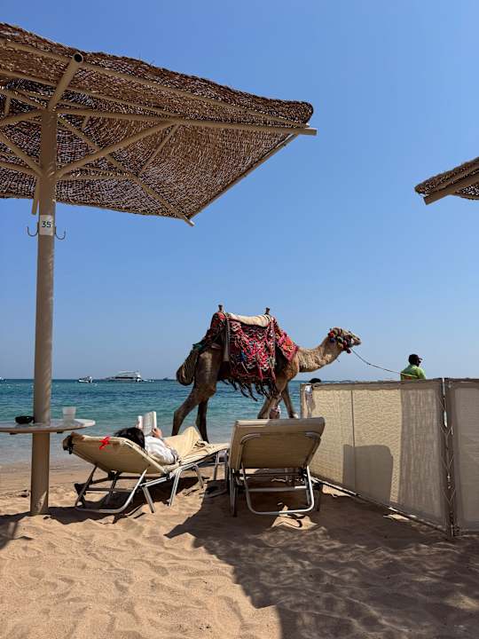 Strand Jaz Makadina