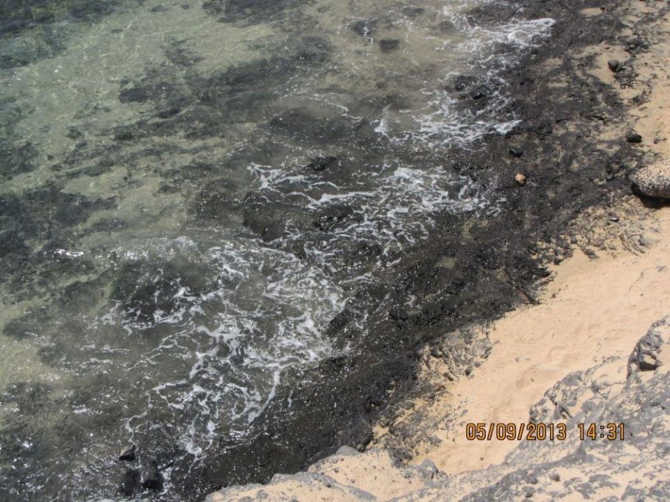 Felsstrand SBH Costa Calma Beach Resort