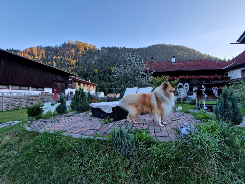 Gartenanlage Gutshof zum Schluxen
