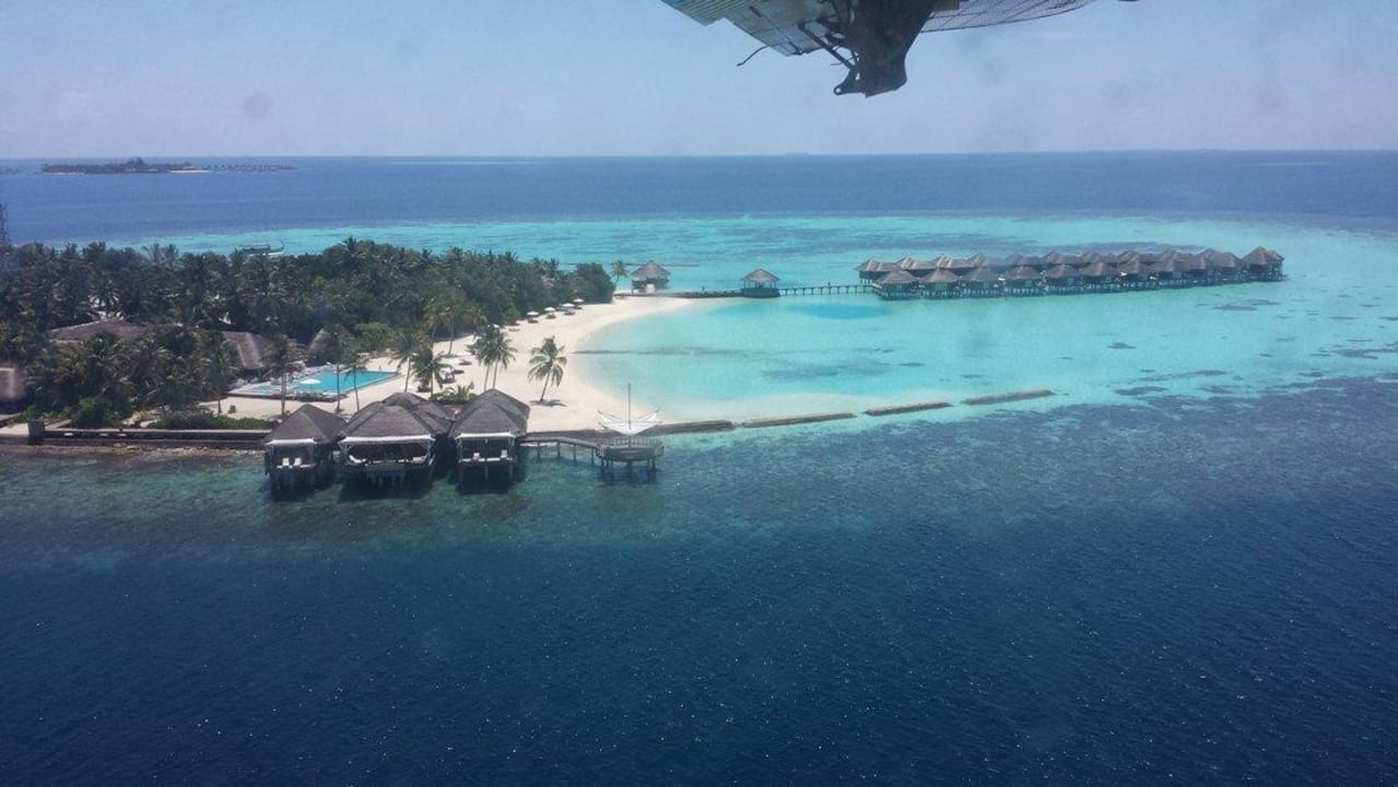 Из окна  Vilamendhoo Island Resort & Spa