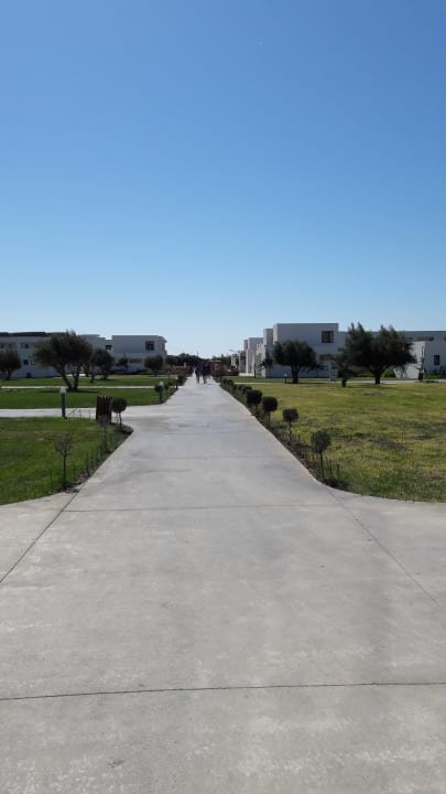 Sonstiges Atlantica Plimmiri