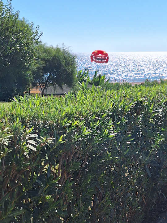 Ausblick Alba Queen Hotel