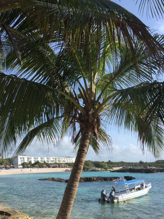 Blick auf Hotelstrand Grand Sirenis Riviera Maya Resort & Spa