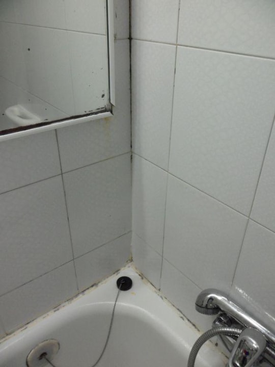 Schimmelbefall Mitsis Rinela