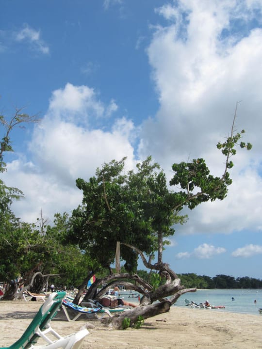 Direkt am Hotel-Strand Hotel Riu Negril