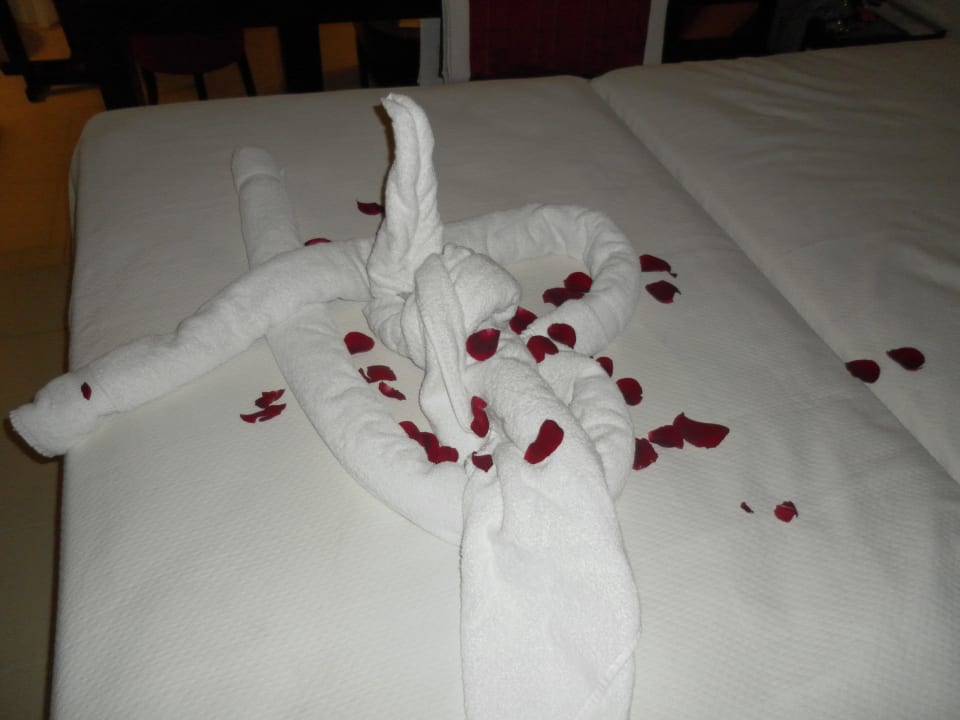 Handtuchkreationen Punta Cana Princess All Suites Resort & Spa