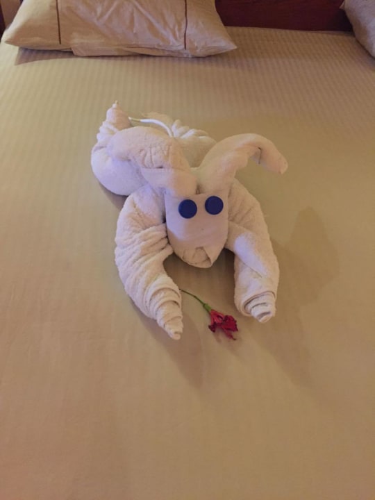 Zimmer Grand Waterworld Makadi & Family Star Makadi