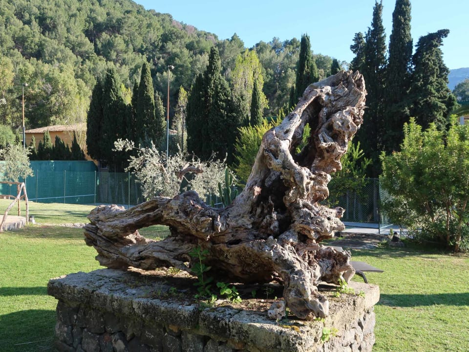 Gartenanlage Hotel Es Port