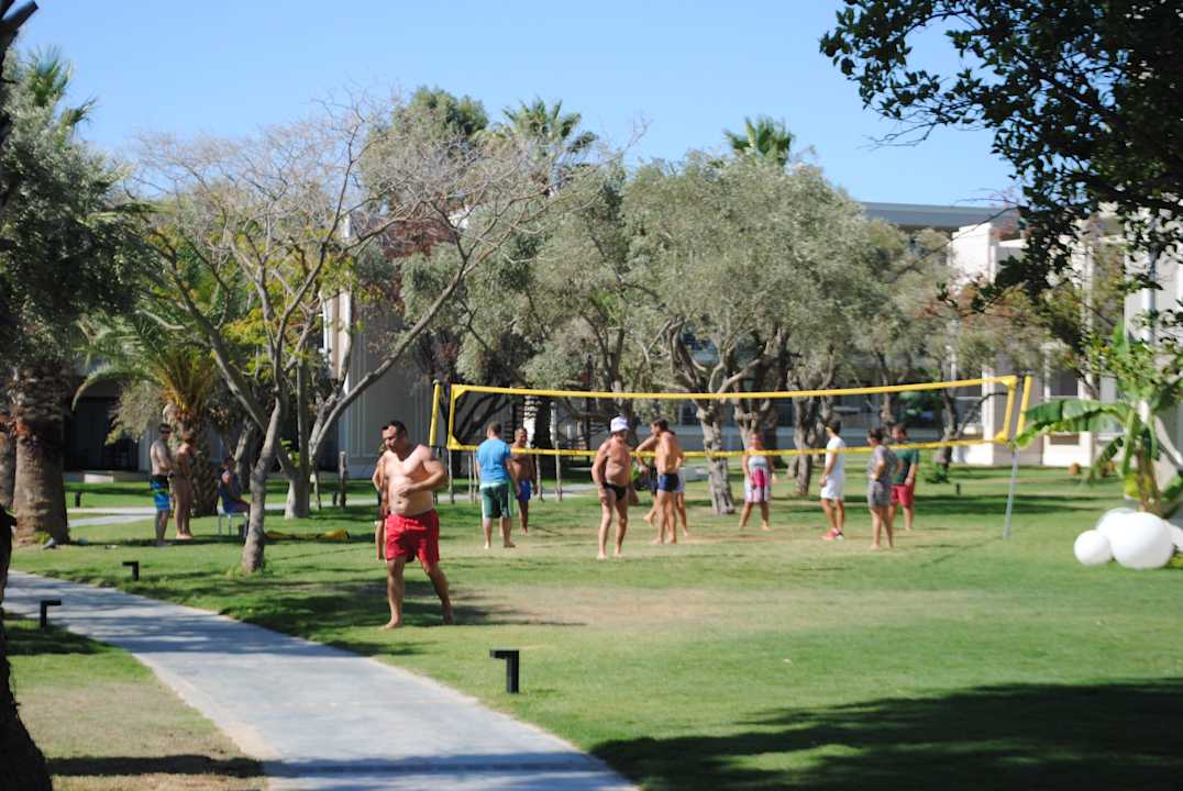 Animation Asteria Venus Didim