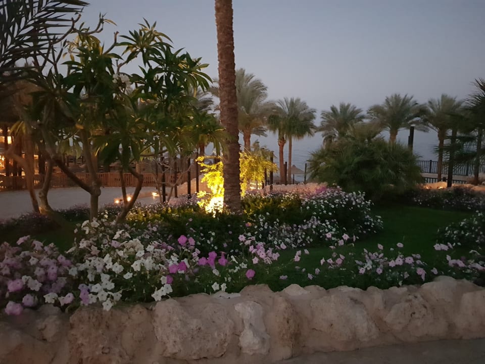 Gartenanlage The Grand Hotel Sharm El Sheikh