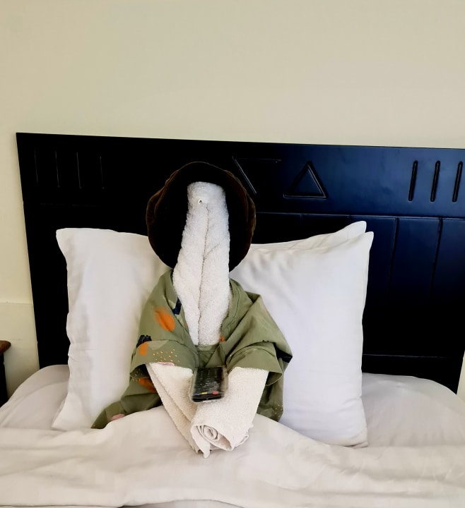 Zimmer Three Corners Sea Beach Resort