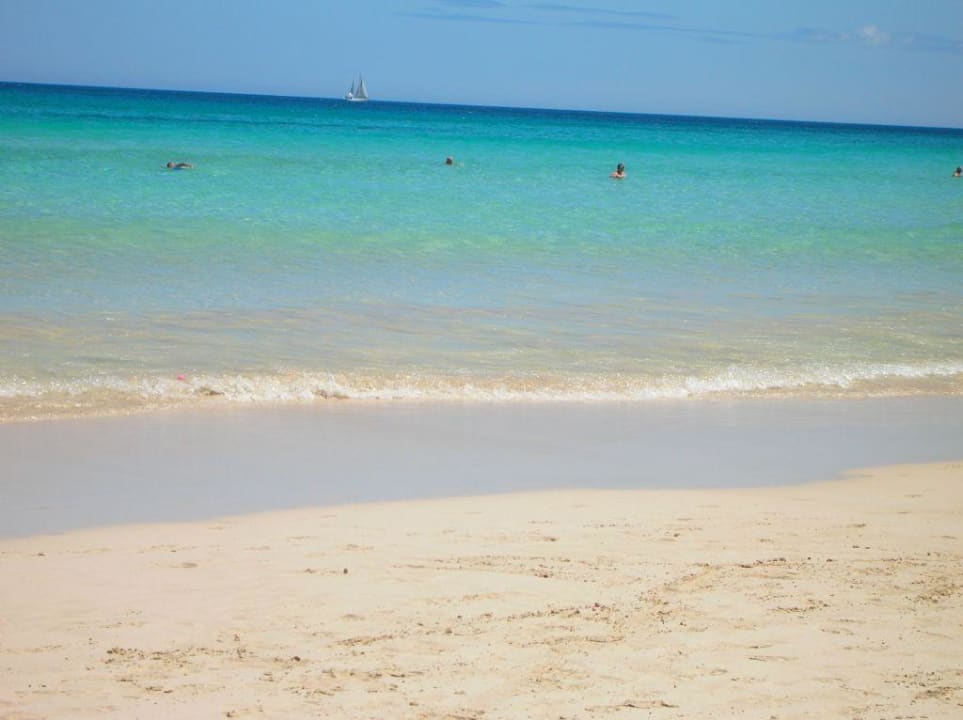 Noch mehr Meer  Hotel Riu Oliva Beach Resort