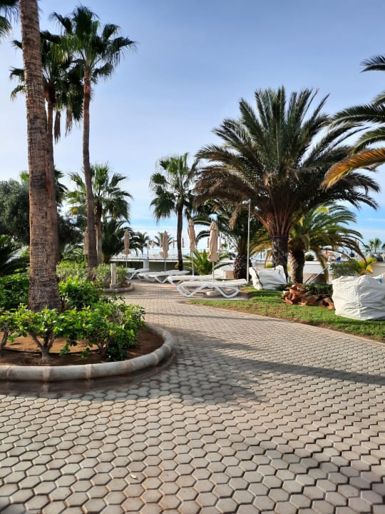 Gartenanlage Hotel Riu Gran Canaria