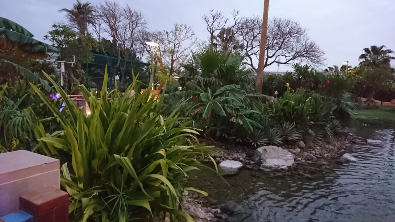 Garten Grand Hyatt Dubai