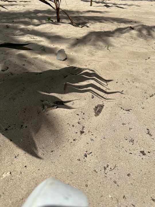 Strand Hotel Riu Turquoise