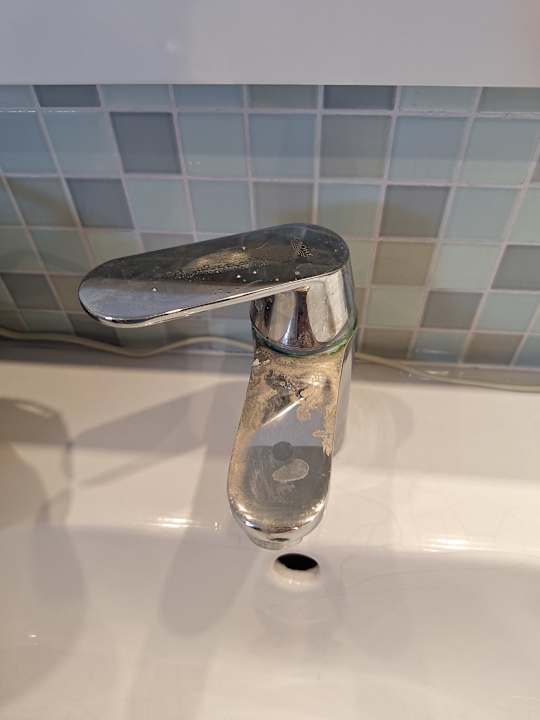 Zimmer Calimera Fido Gardens