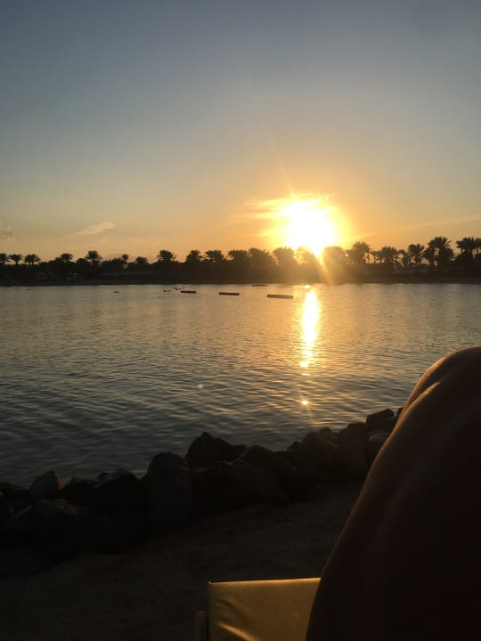 Außenansicht Desert Rose