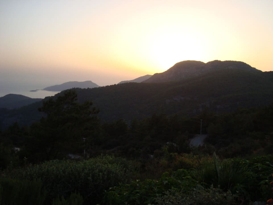 Sunset-Bar Montana Pine Resort