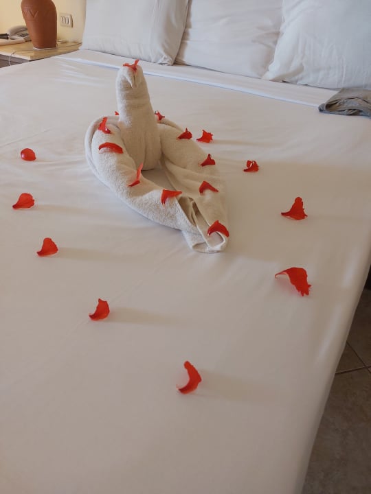 Zimmer Casa Mare Resort