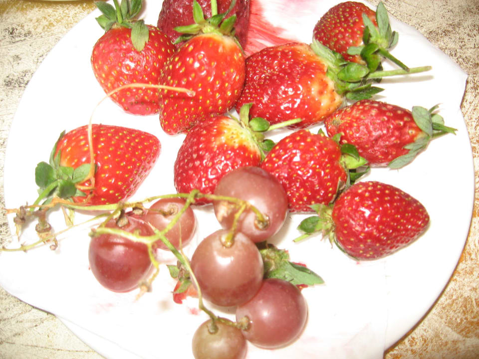 Ресторан Maxx Royal Belek Golf Resort