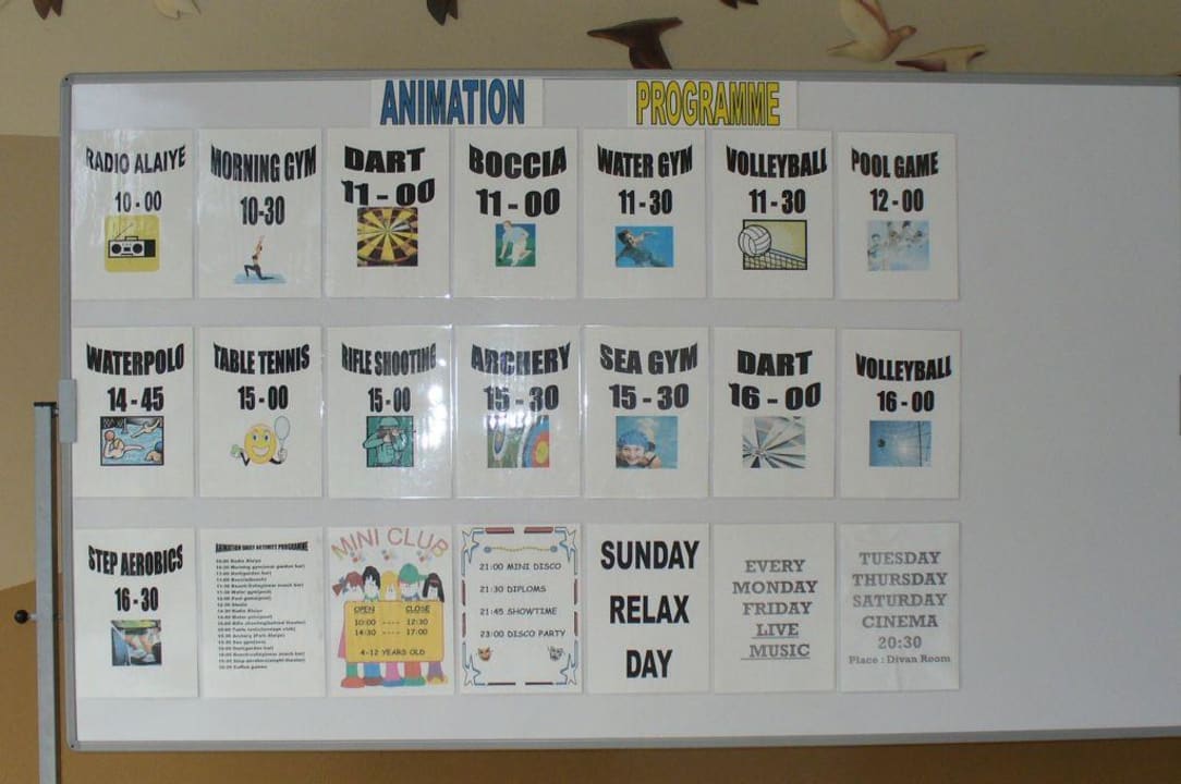 Rozkład zajęć Alaiye Resort & Spa