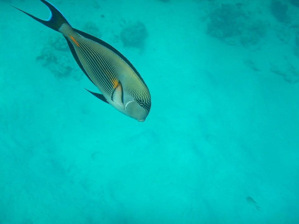 Sport & Freizeit Grand Waterworld Makadi & Family Star Makadi