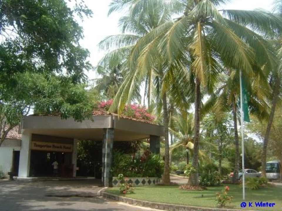 Hoteleingang TBC Tangerine Beach Hotel