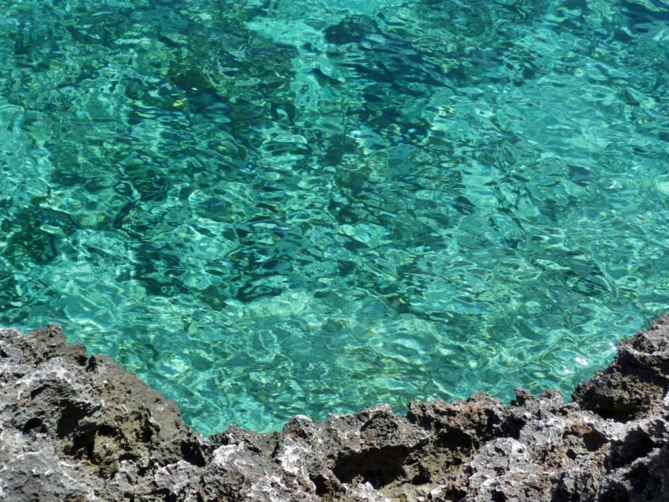 Top Wasserqualität! Smy Portocolom