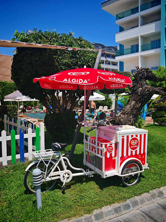 Gastro Seashell Resort