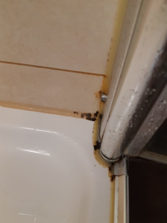 Zimmer Center Parcs Park Bostalsee