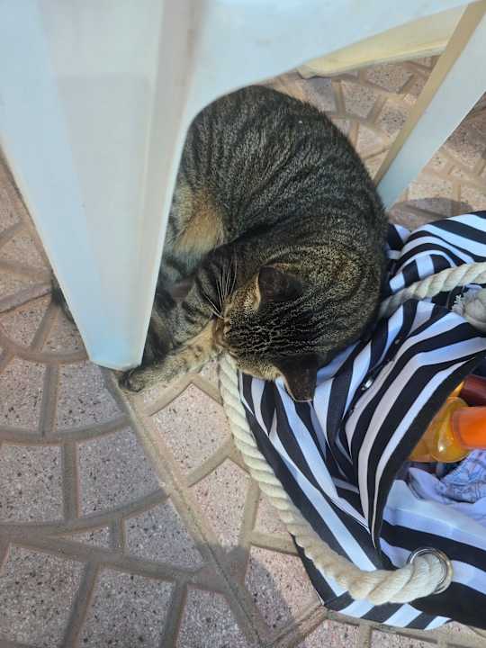 Strand Bella Vista Resort Hurghada