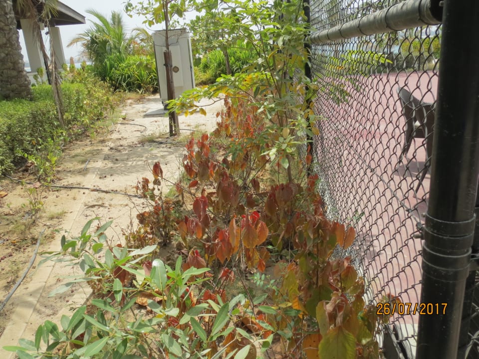 Sonstiges Waldorf Astoria Dubai Palm Jumeirah