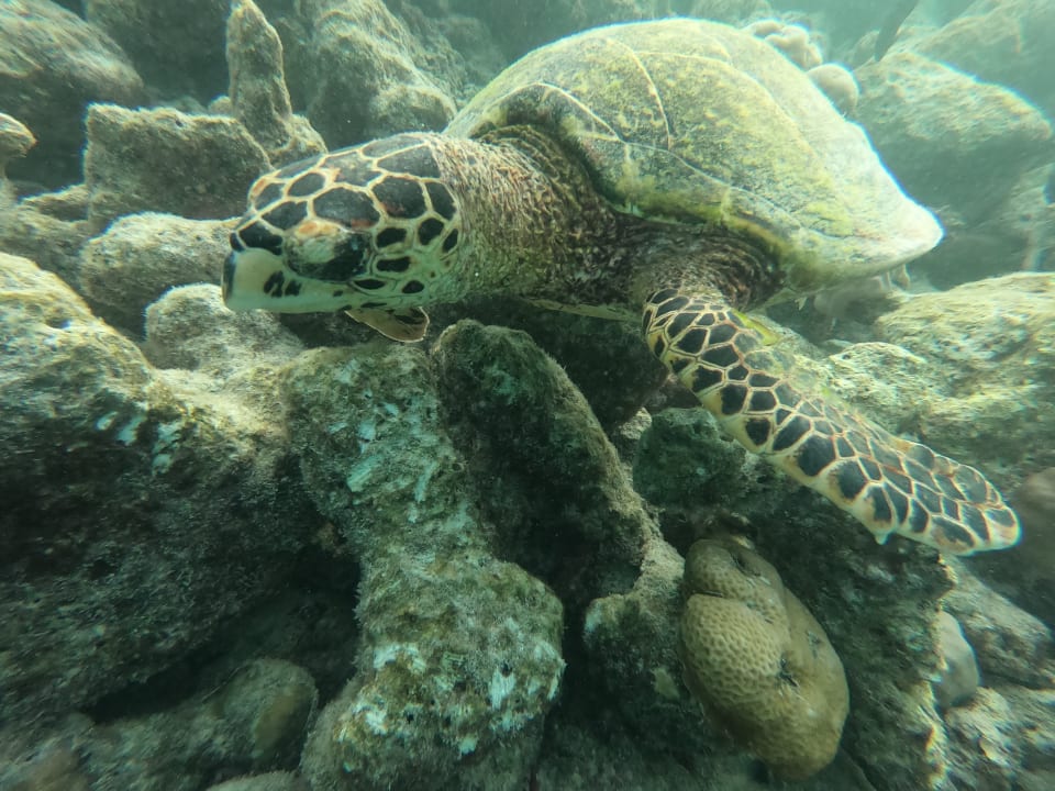 Sport & Freizeit Adaaran Club Rannalhi - All Inclusive