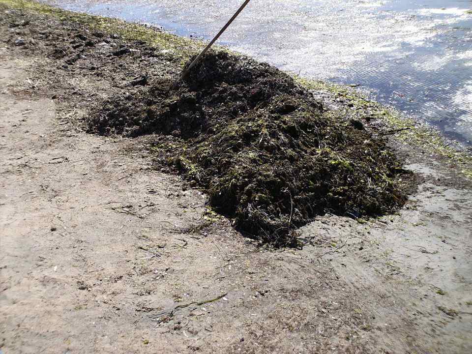 Nahaufnahme Hotel Rosa Beach