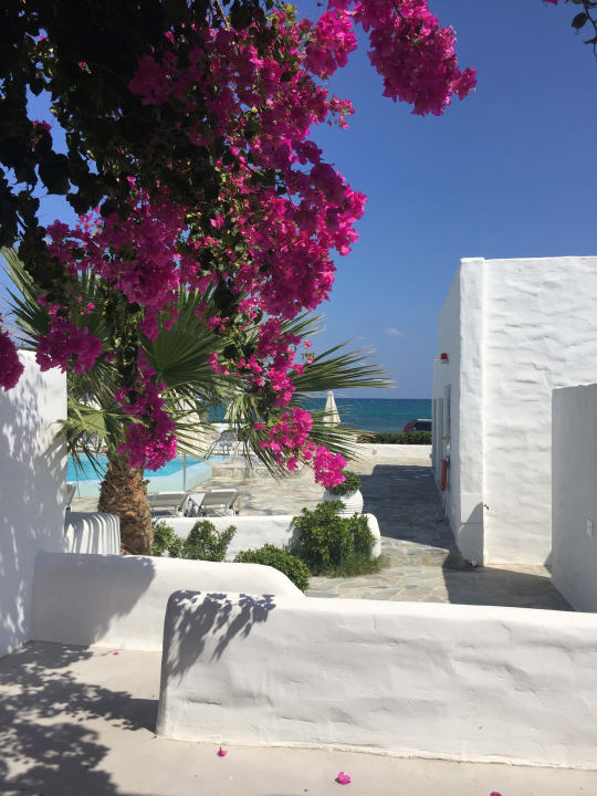Ausblick Knossos Beach Bungalows Suites Resort & Spa