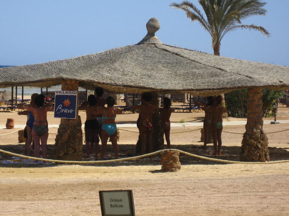 Solaya, gut geschützt Jaz Solaya