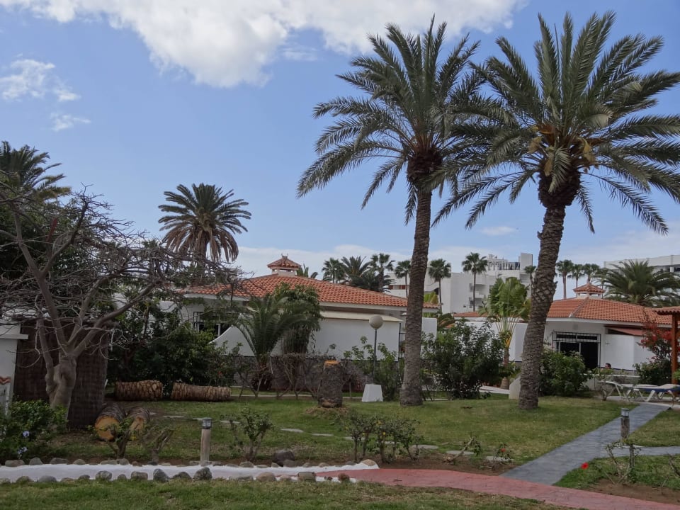 Eine Palme wurde gerade gefällt HL Miraflor Suites Hotel