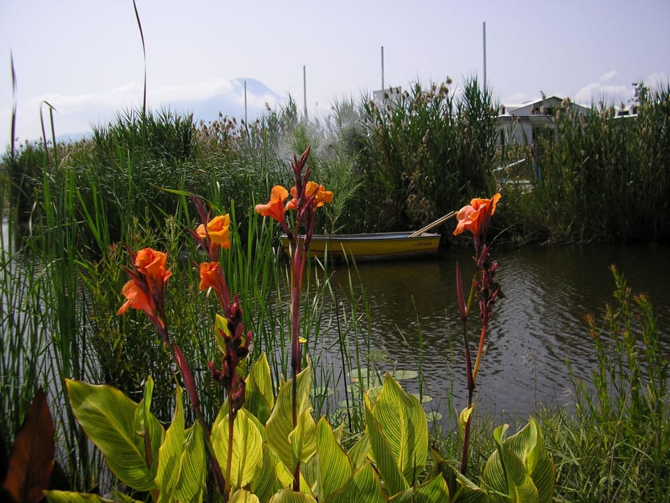 Übergang Pool Jiva Beach Resort