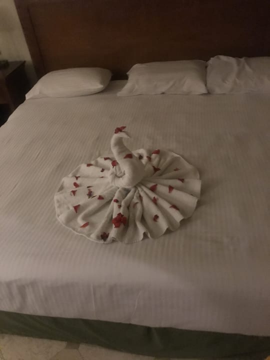 Zimmer Ghazala Gardens