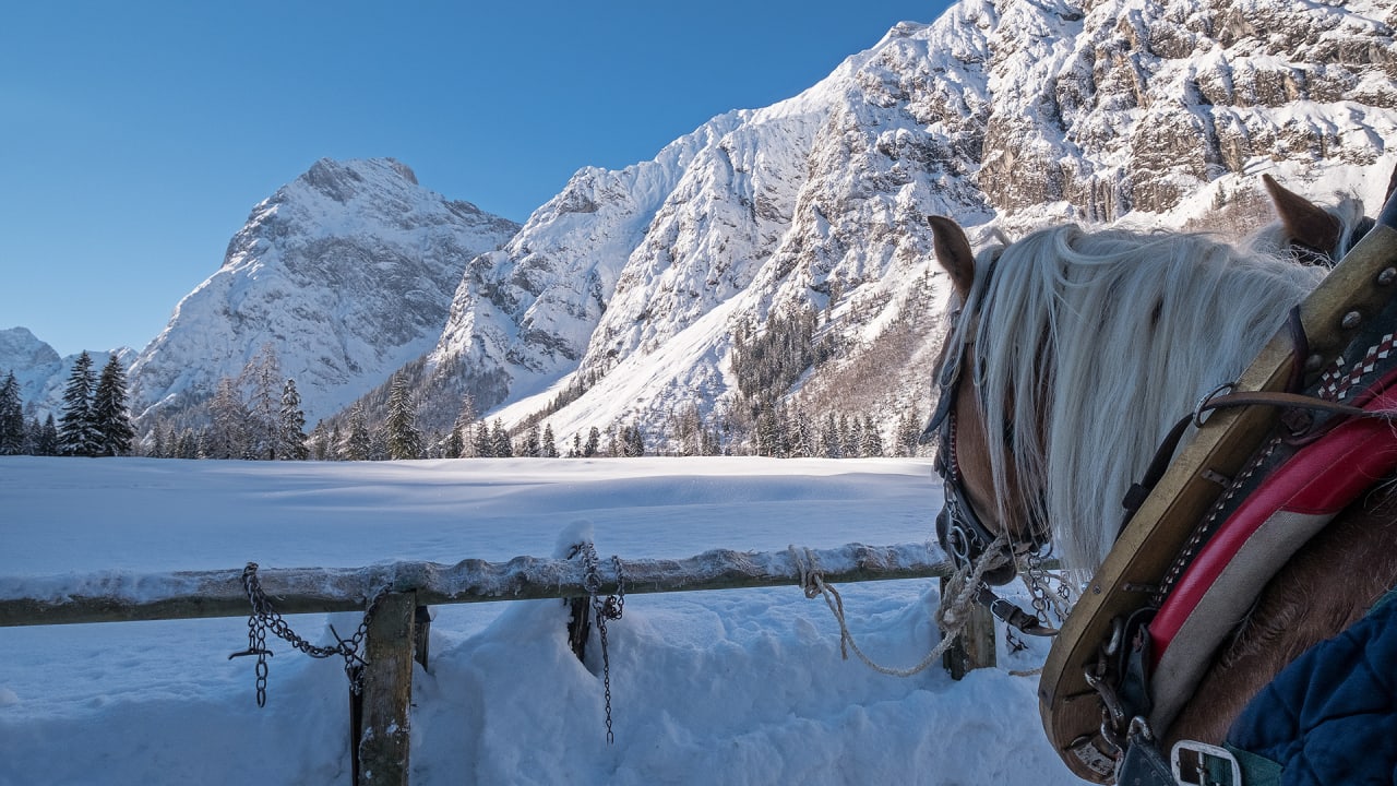 Sonstiges VIERKLEE - Das kinderfreundliche Ferienhaus am Achensee
