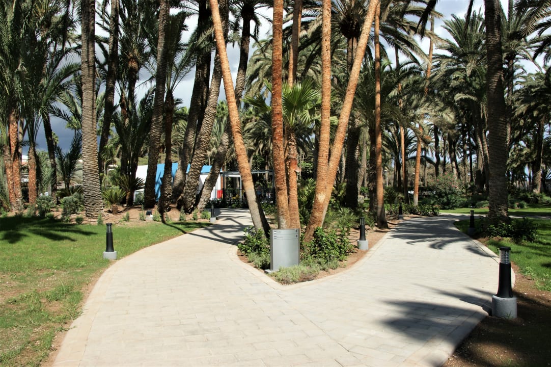 Gartenanlage Hotel Riu Palace Oasis