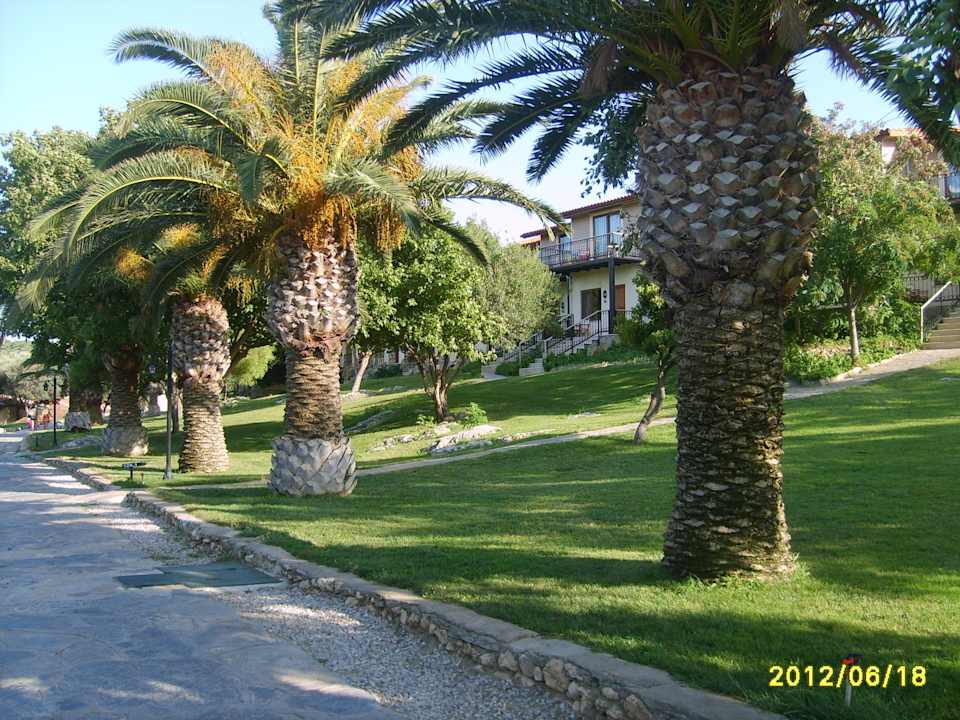 Gartenanlage  Club Resort Atlantis