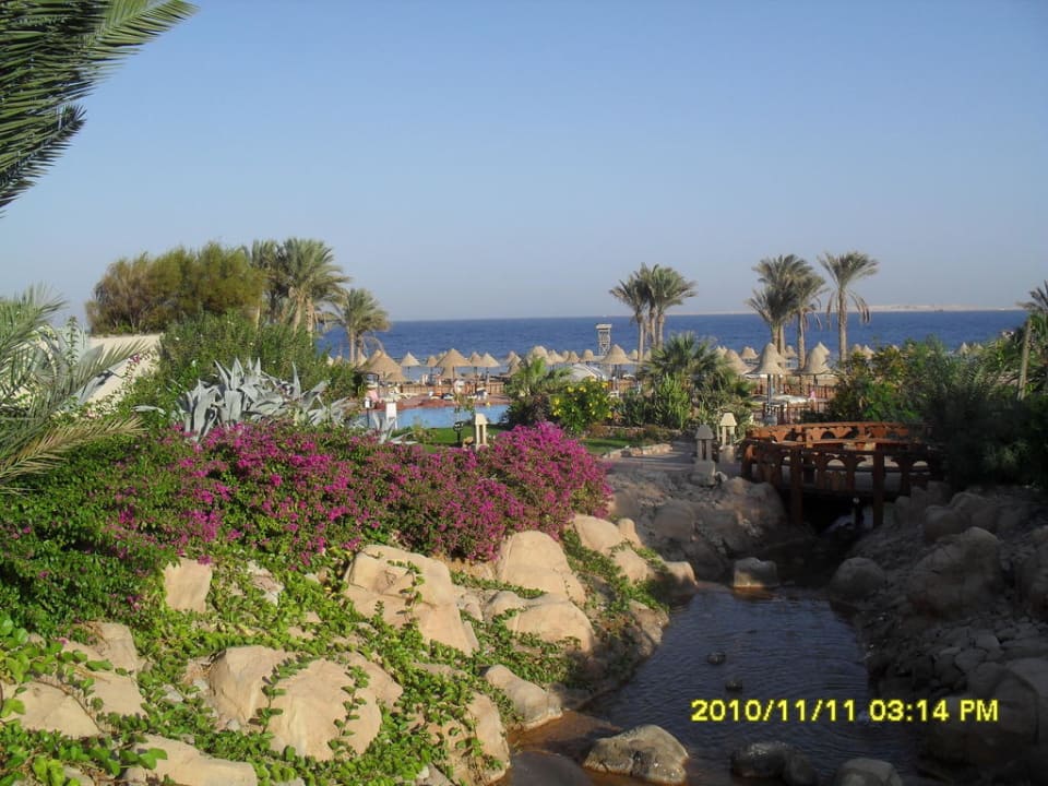 Auf dem Weg in Richtung Strand Parrotel Beach Resort