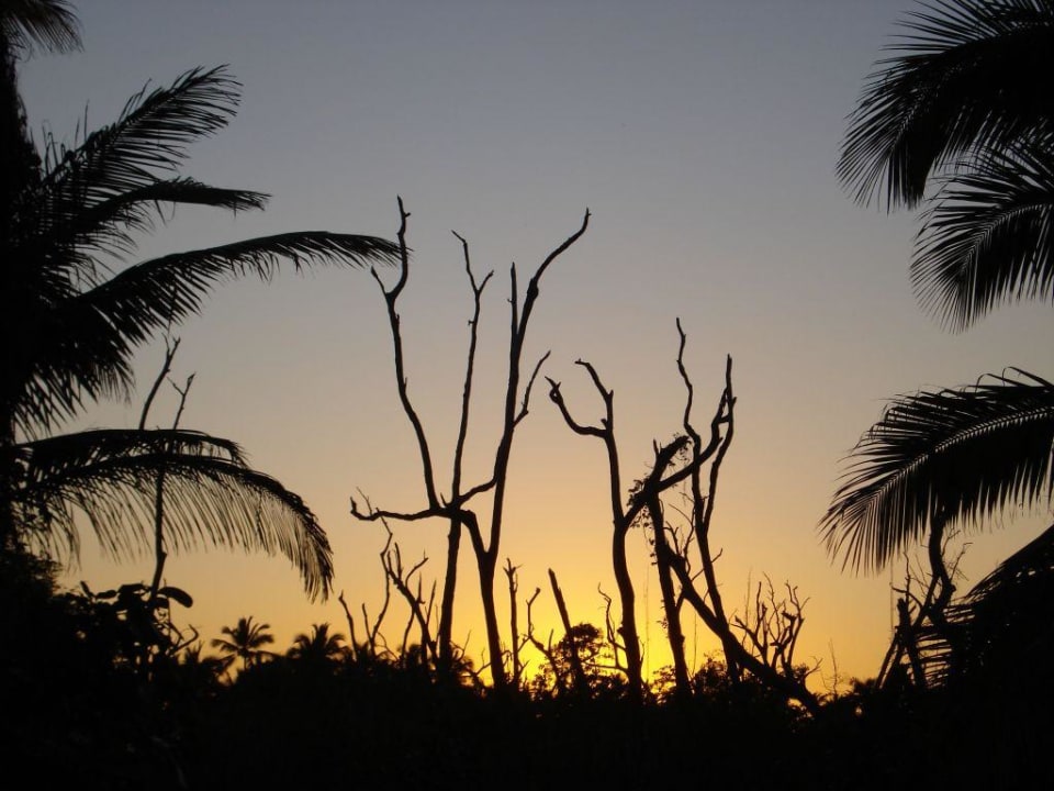 was für ein Bild Grand Palladium Select Bávaro Resort & Spa